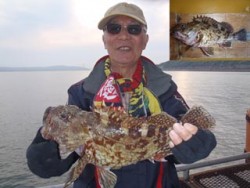 神戸市立須磨海づり公園 記録賞サイズのガシ…