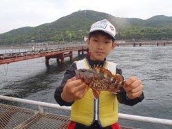 神戸市立須磨海づり公園 落とし込みでガシラ