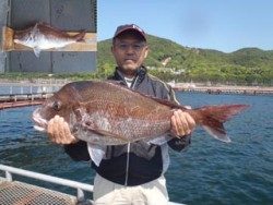 神戸市立須磨海づり公園　マダイ77.0cm！