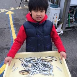 和歌山マリーナシティ海釣り公園 イワシ釣れて楽しかった！