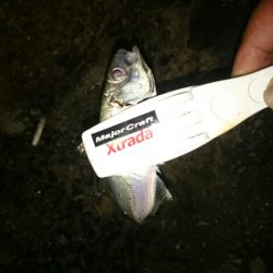 なんとかアジ❗