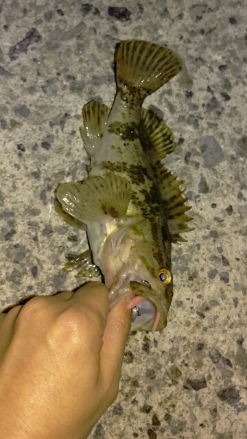 アクションは大事！