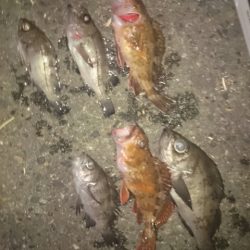 シーズンオフ？