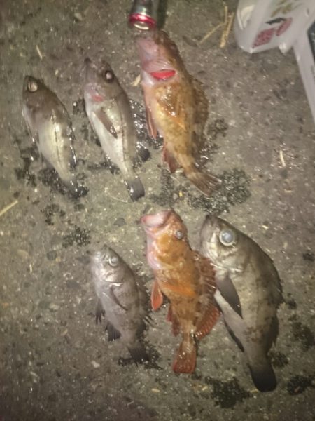 シーズンオフ？