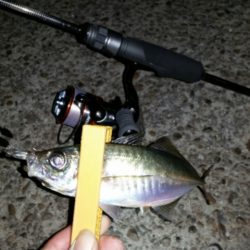 自作ロッドの試し釣り