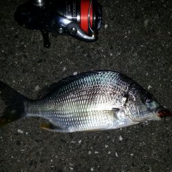 プラグ系縛り！