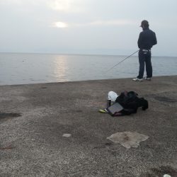 やっぱり…コウイカ2