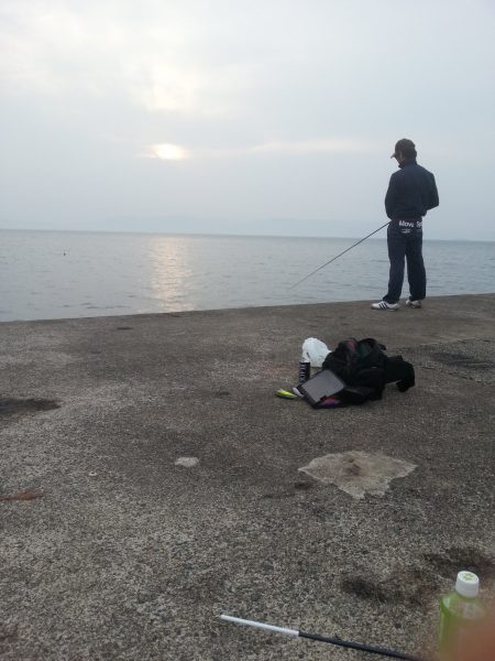 やっぱり…コウイカ2