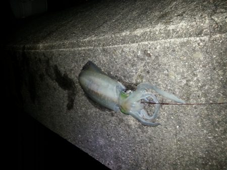 ひとつだけ……………。