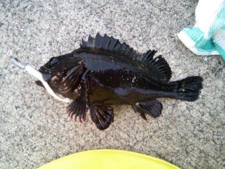 北公園メバリング2