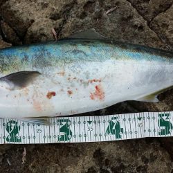 ショアジギング