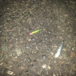 エサなしサビキと