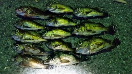 アタリは、あるのですが…