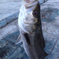 超荒食いのファイター