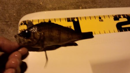 ﾀｲﾐﾝｸﾞ　悪い(>_<)