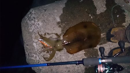 やっと釣れたー！