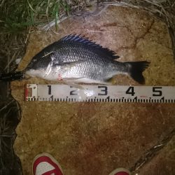 徹夜の結果・・・