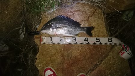 徹夜の結果・・・