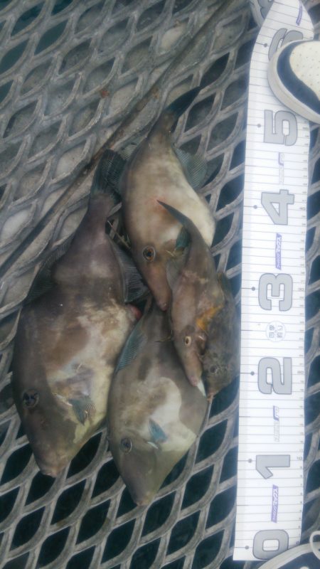 ダメダメでした…