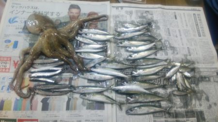 下津ピアーランドで飲ませ釣り