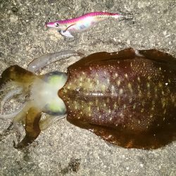 水平移動でのせた二杯