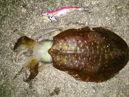 水平移動でのせた二杯