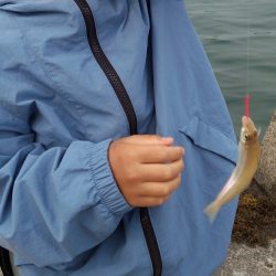 ファミリーキッシングを満喫！！