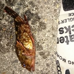 さすがゴールデンウィーク、めちゃ混んでます