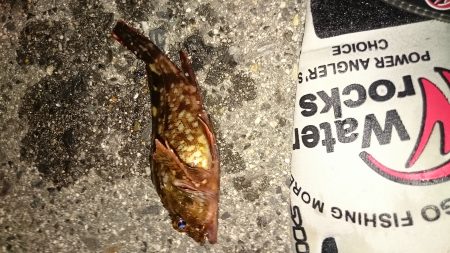 さすがゴールデンウィーク、めちゃ混んでます…