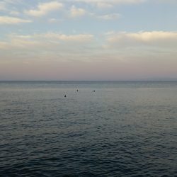 またまたシーバスゲット❗