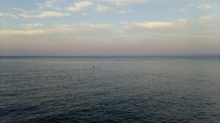 またまたシーバスゲット❗