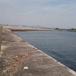 ちょい投げ釣行