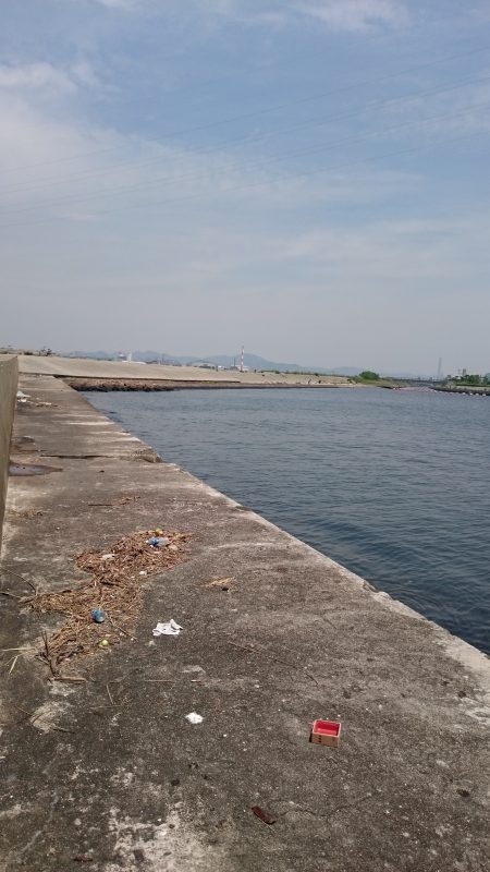 ちょい投げ釣行