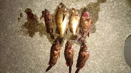 なんとかメバリングだよ