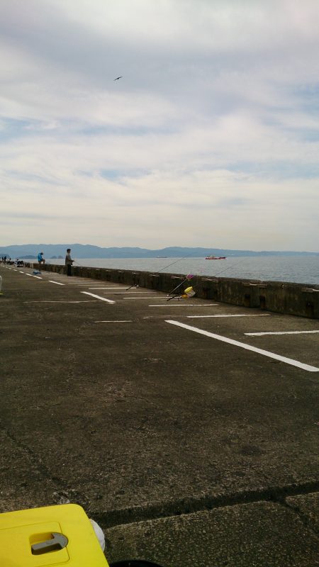 青物の引きを、味わいたくて。