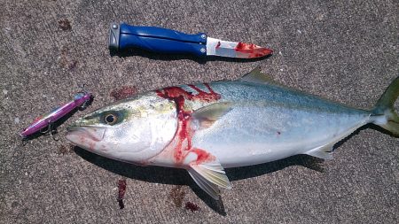 粘って捕った一匹