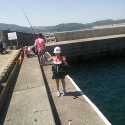 サビキでイワシと小サバ