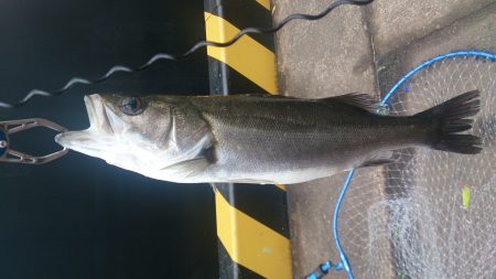 淡路島ランガンメバル旅