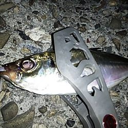 夕まずめの1時間