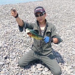 ビッグワン２本