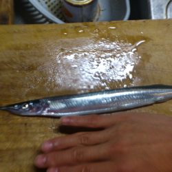 はじめての海釣り場