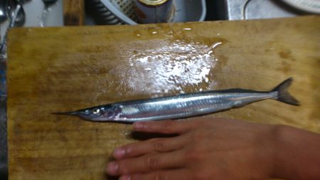 はじめての海釣り場