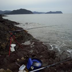 磯からブリゲット