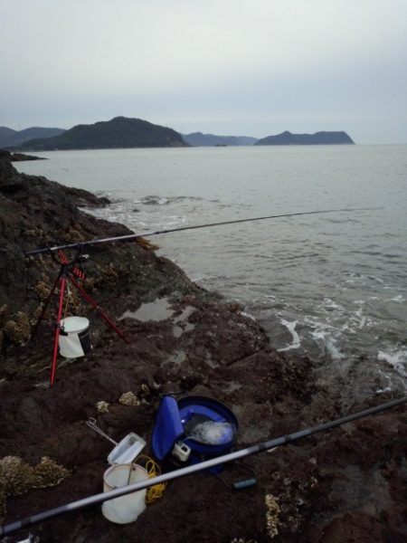 磯からブリゲット