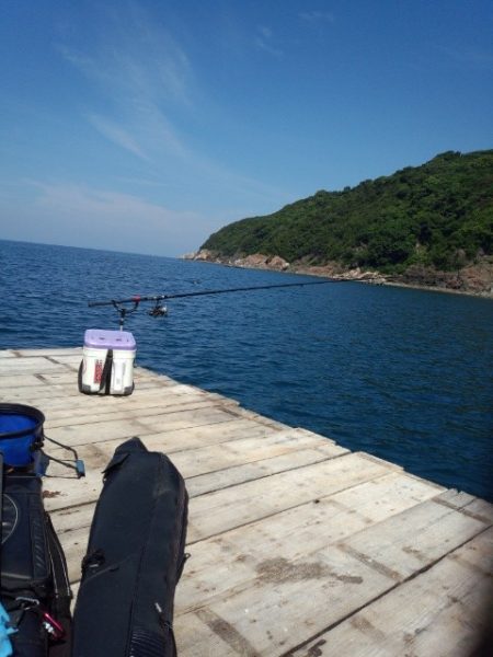 なんとか春イカ1パイ