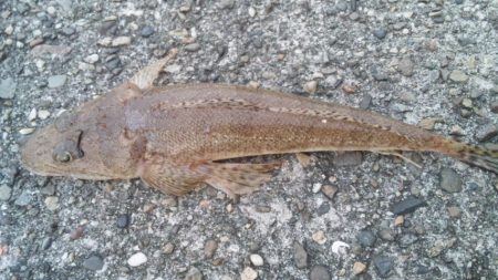 釣り友と～～～