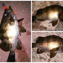 メバリング！！！！