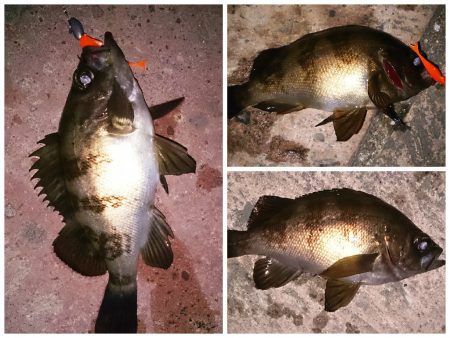 メバリング！！！！