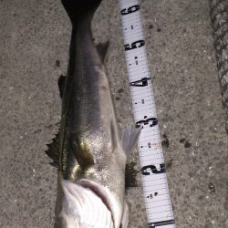 今年初の70オーバー!!