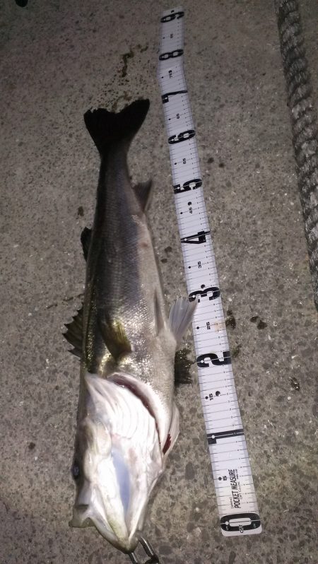 今年初の70オーバー！！